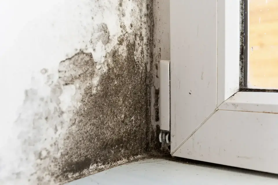 water damage restoration in South Salt Lake, UT